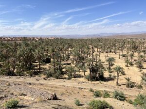 3 días Marrakech Excursión al desierto