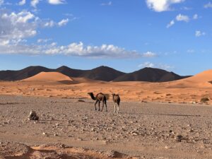 6 Days Fes to Marrakech desert tour