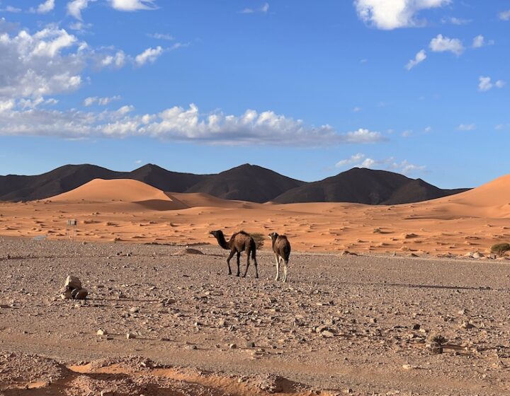 6 Days Sahara Desert tour from Fes to Marrakech.