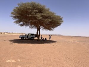 8 días - Ruta desde Marrakech al desierto