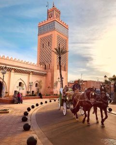 TOP THINGS TO DO IN MARRAKECH