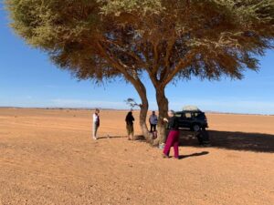 SAHARA DESERT IN MOROCCO