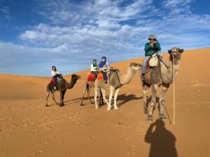 Sahara desert Morocco : Merzouga Desert