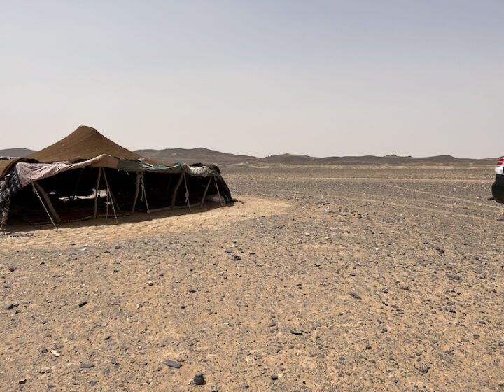 Eco friendly Tours in Sahara Desert