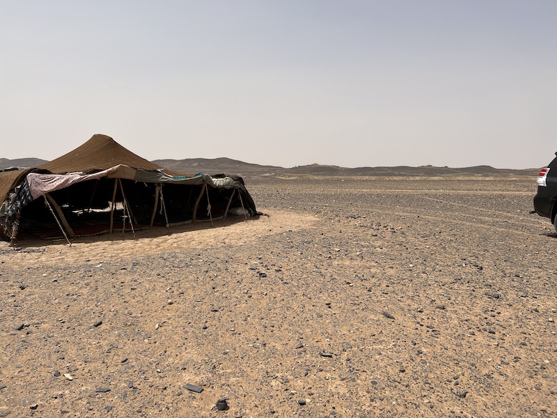 Eco friendly Tours in Sahara Desert