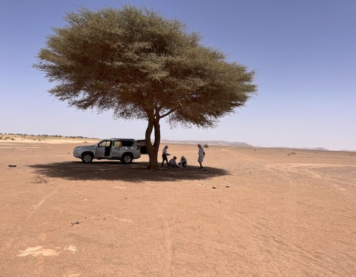 Tour de 7 Dias - Safari no Deserto de Marrocos
