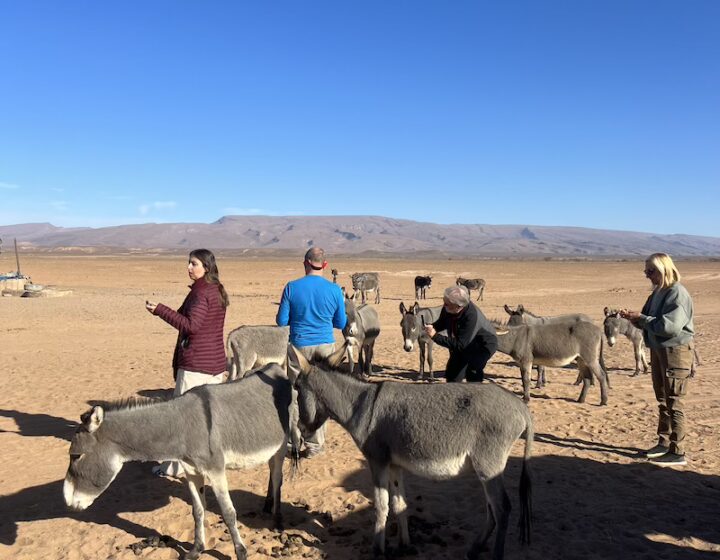 Morocco Road Trips and National Parks