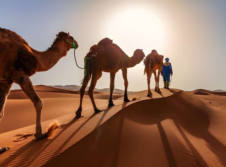 Best Sahara Desert Tours from Tangier