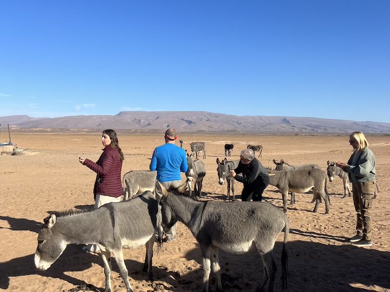 Erg Chegaga Desert: Morocco’s Wild and Untouched Sahara