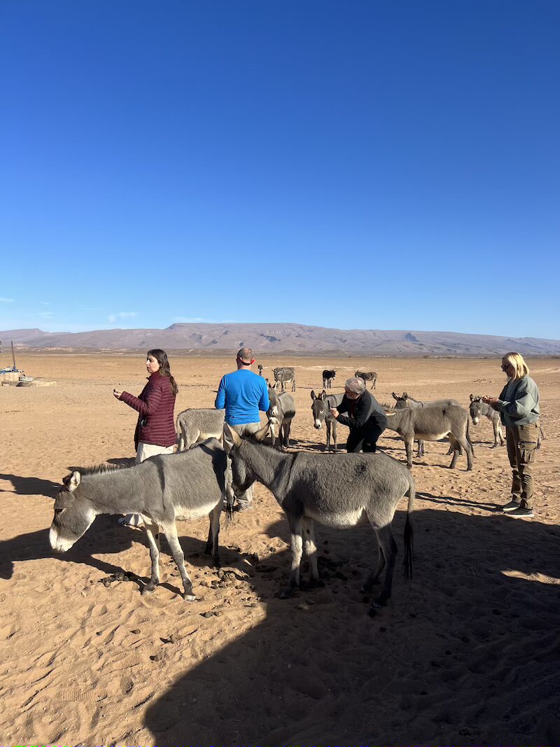 Erg Chegaga Desert: Morocco’s Wild and Untouched Sahara