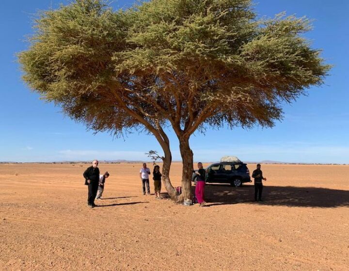 Circuits Privés au Maroc avec Eco Desert Morocco
