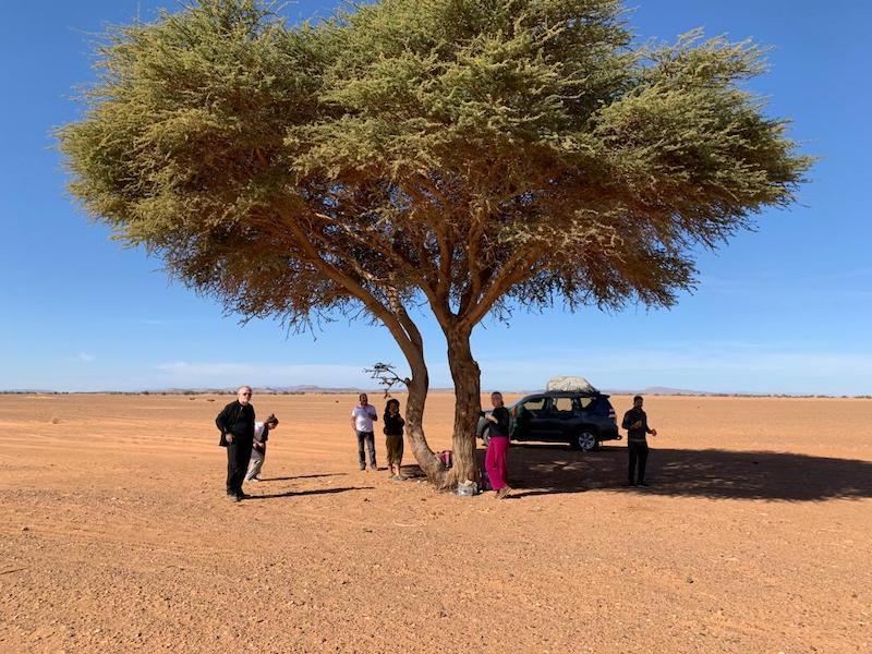Circuits Privés au Maroc avec Eco Desert Morocco